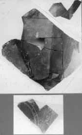 AMPHORA, PANATHENAIC PRIZE, FRAGMENT (ATHENIAN, BLACK-FIGURE)