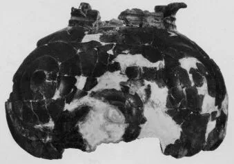 FRAGMENT (ITALIAN IRON AGE)