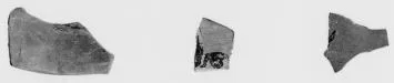 CUP, FRAGMENTS (ATHENIAN, BLACK-FIGURE)