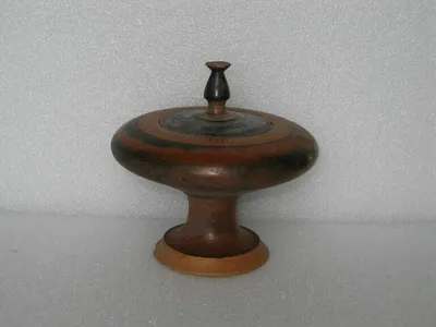 plémochoé