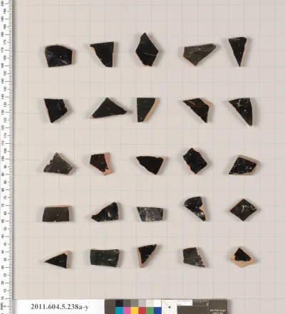 Terracotta fragments of kylikes (drinking cups)