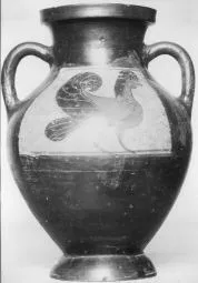 AMPHORA, BELLY, TYPE B (ATHENIAN, BLACK-FIGURE)