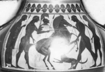 AMPHORA, BELLY, TYPE B (ATHENIAN, BLACK-FIGURE)