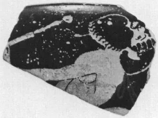 CUP, FRAGMENT (ATHENIAN, RED-FIGURE)