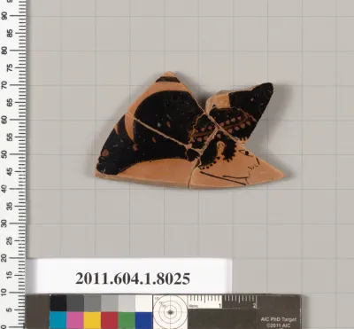 Terracotta fragment of a kylix (drinking cup)