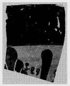 CUP, LITTLE MASTER BAND, FRAGMENT (ATHENIAN, BLACK-FIGURE)