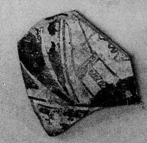 OINOCHOE, FRAGMENT (EAST GREEK, OUTLINE)