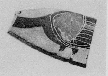 LID, FRAGMENT (ATHENIAN, BLACK-FIGURE)