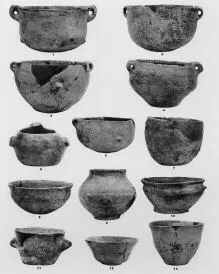VARIOUS (COKA)