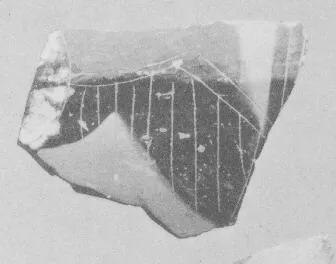 AMPHORA, NECK, FRAGMENT (ATHENIAN, BLACK-FIGURE)