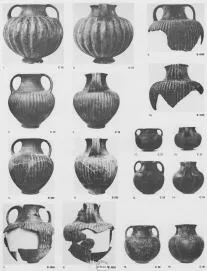 AMPHORA, BELLY (ITALIOTE, IMPASTO)