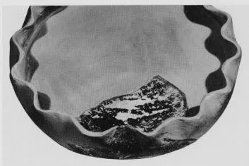 FRAGMENTS (MINOAN)
