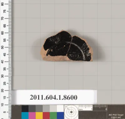 Terracotta fragment of a stemless kylix (drinking cup)