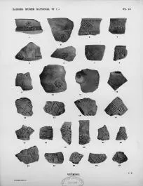 VARIOUS (VUCEDOL)