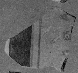 AMPHORA, PANATHENAIC PRIZE, FRAGMENT (ATHENIAN, BLACK-FIGURE)