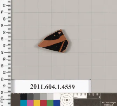 Terracotta fragment of a kylix (drinking cup)