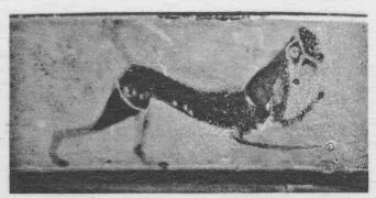 CUP, LITTLE MASTER LIP (ATHENIAN, BLACK-FIGURE)