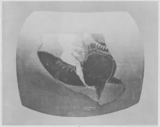 AMPHORA, BELLY, FRAGMENTS (EAST GREEK, CLAZOMENIAN, BLACK-FIGURE)