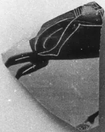 CUP, SIANA, FRAGMENT (ATHENIAN, BLACK-FIGURE)