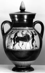 AMPHORA, BELLY, TYPE B (ATHENIAN, BLACK-FIGURE)