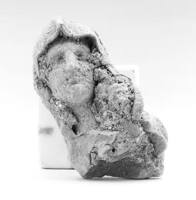 Hooded Female Head