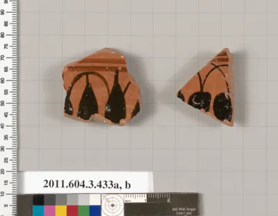 Terracotta fragments of neck-amphorae (jars)