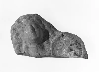 Female Head