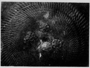 CUP, STEMLESS, FRAGMENT (SOUTH ITALIAN, CAMPANIAN, RELIEF)
