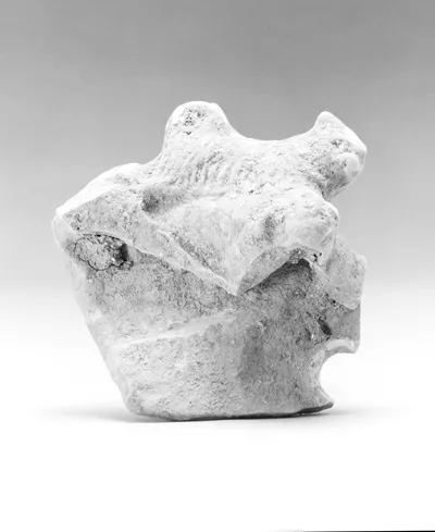 Group of Two Animals Mounting