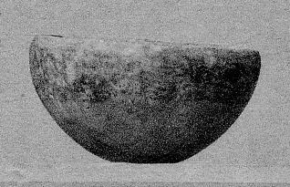 BOWL (CYPRIOT, BRONZE AGE)