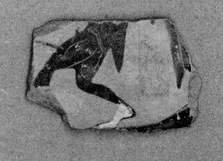 AMPHORA, NECK, FRAGMENT (EAST GREEK, CLAZOMENIAN, BLACK-FIGURE)