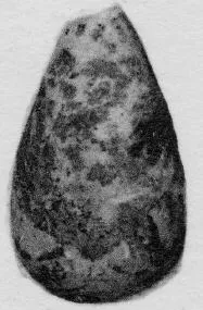 ALABASTRON (CORINTHIAN, BLACK-FIGURE)