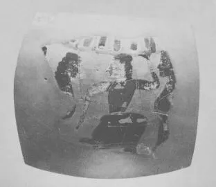 AMPHORA, NECK, FRAGMENT (ATHENIAN, BLACK-FIGURE)
