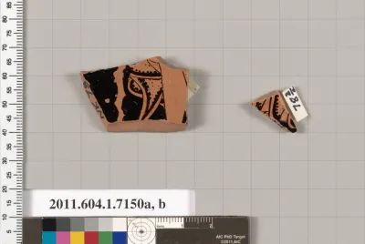 Terracotta fragments of a kylix (drinking cup)