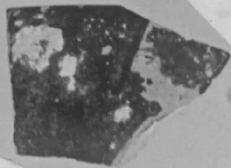 CUP, FRAGMENT (ATHENIAN, RED-FIGURE)