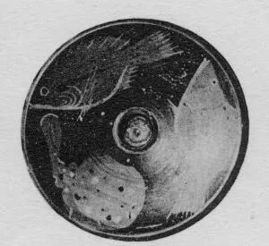 FISH PLATE (SOUTH ITALIAN, CAMPANIAN, RED-FIGURE)