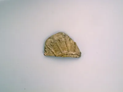 Vase fragment