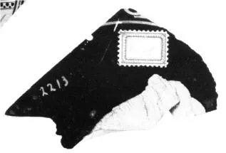 CUP, FRAGMENT (ATHENIAN, RED-FIGURE)