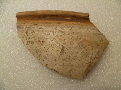 vase