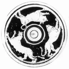 LEKANIS LID, FRAGMENT (ATHENIAN, RED-FIGURE)