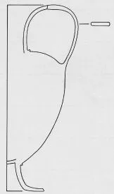 AMPHORA, NECK (CAERETAN, BLACK PATTERN)