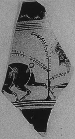 FRAGMENT (ATHENIAN, BLACK-FIGURE)