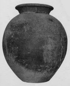 JAR (VILLA NOVA)
