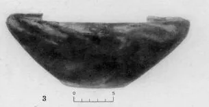 CUP (VILLA NOVA)