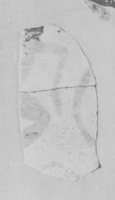 AMPHORA, BELLY, FRAGMENT (EAST GREEK, FIKELLURA, SILHOUETTE)