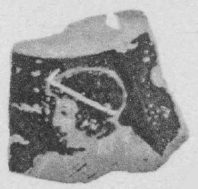 FRAGMENT (ATHENIAN, RED-FIGURE)