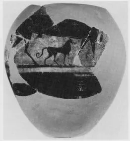 AMPHORA, BELLY (ETRUSCAN, BLACK-FIGURE)