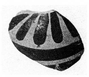 ARYBALLOS, FRAGMENT (CORINTHIAN)