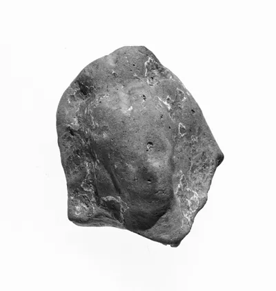 Female Head