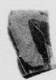 CUP, FRAGMENT (ATHENIAN, BLACK-FIGURE)
